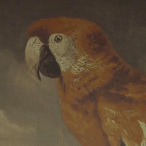 柏欣彤学生装沙发上在线播放
